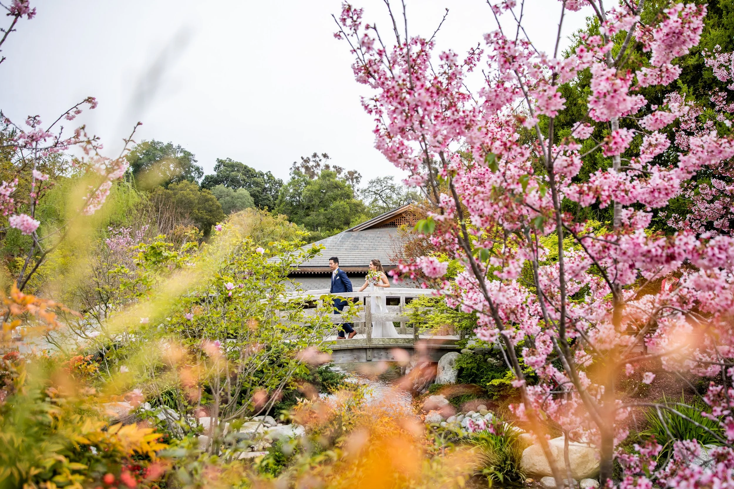 Private Events — Japanese Friendship Garden